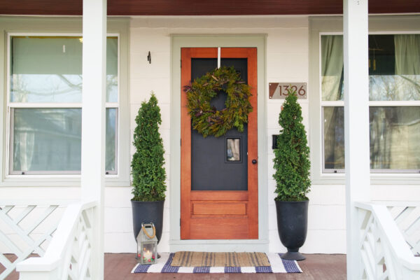 Thuja occidentalis Sting® (PW) - Image 4