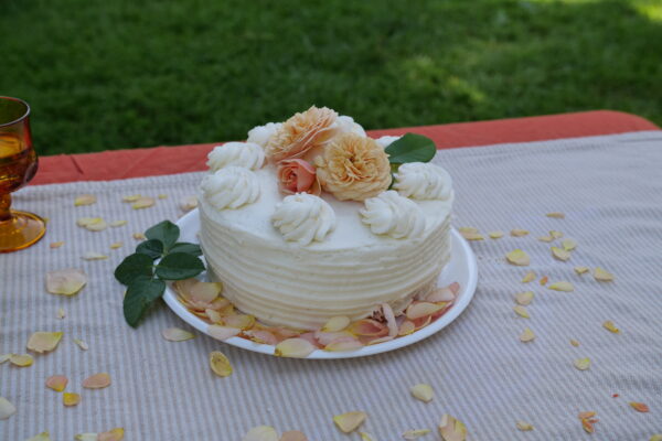Rosa Flavorette® Honey-Apricot (PW) - Image 5